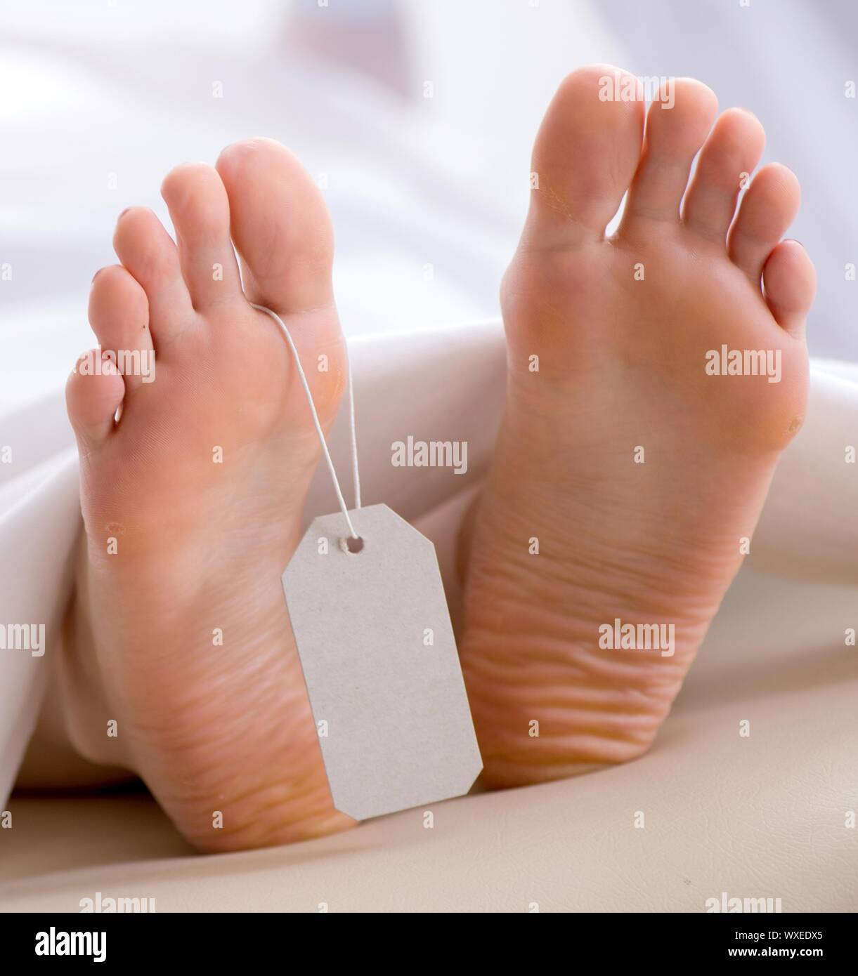 Police coroner examining dead body corpse in morgue Stock Photo - Alamy