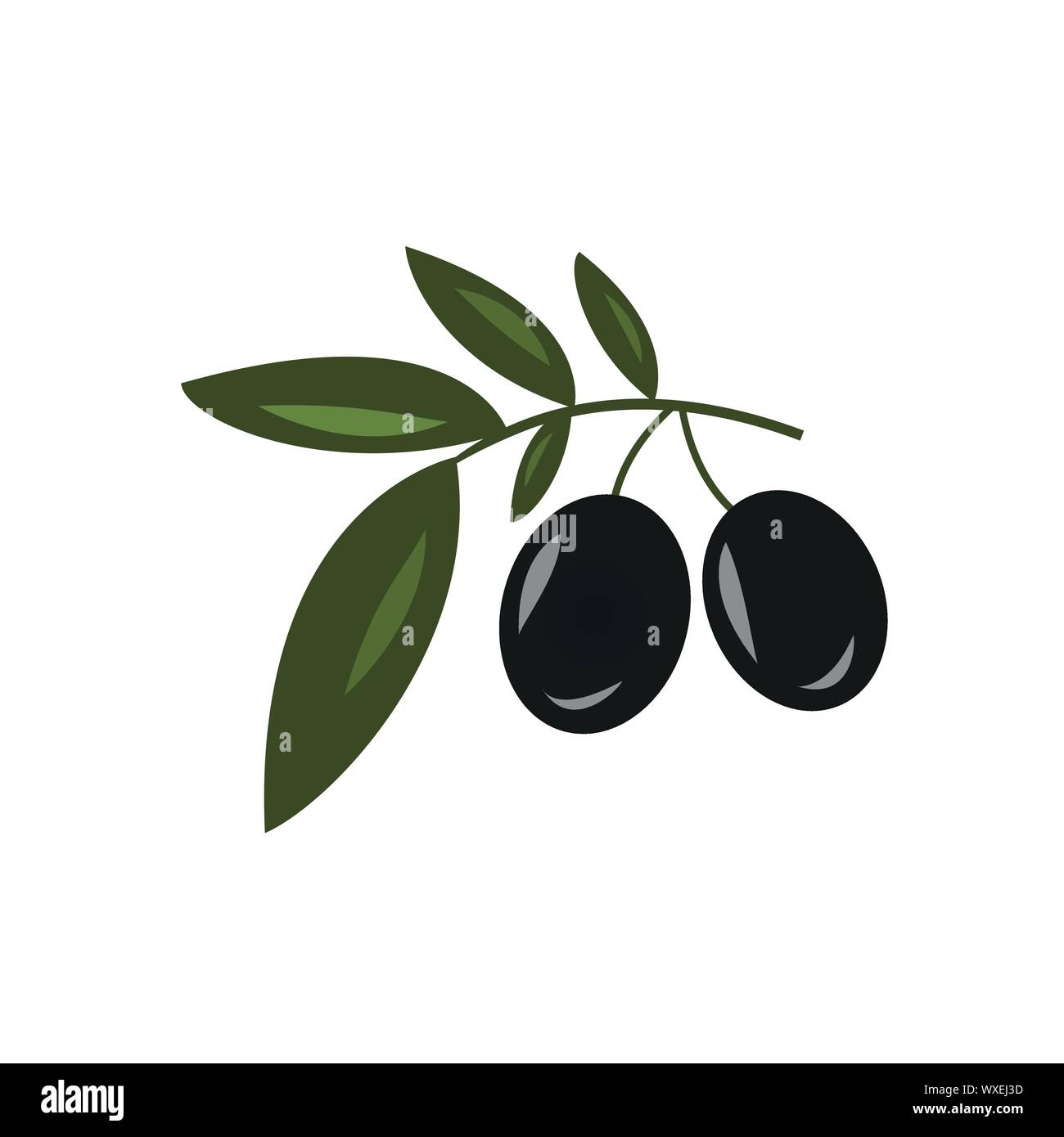 Green olives vector vectors Stock Vector Images Alamy