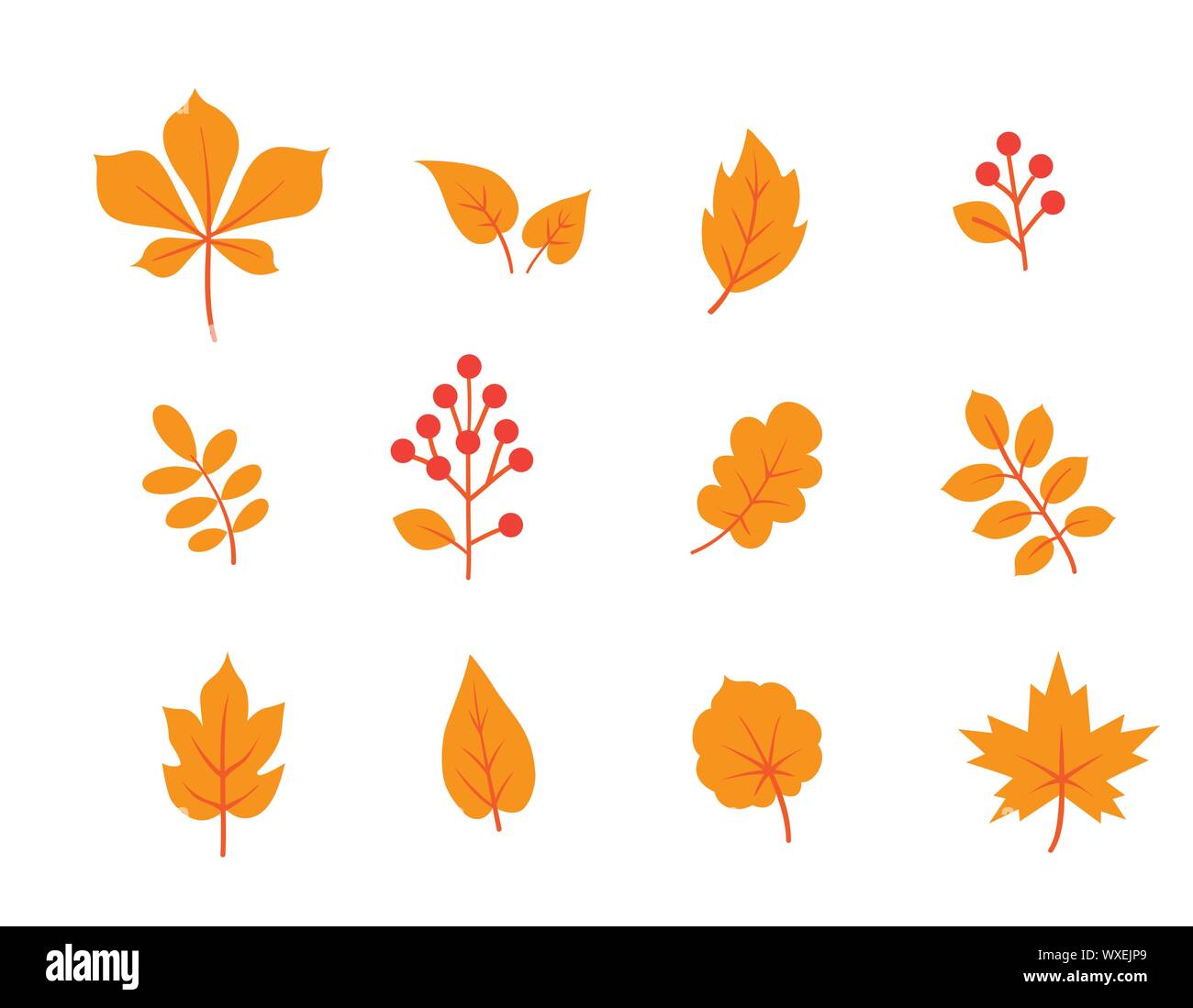 Autumn Leaves Set Fall Leaf And Berries Icons Floral Nature Symbols Autumn Leaves Set Fall Leaf And Berries Icons Floral Nature Symbols