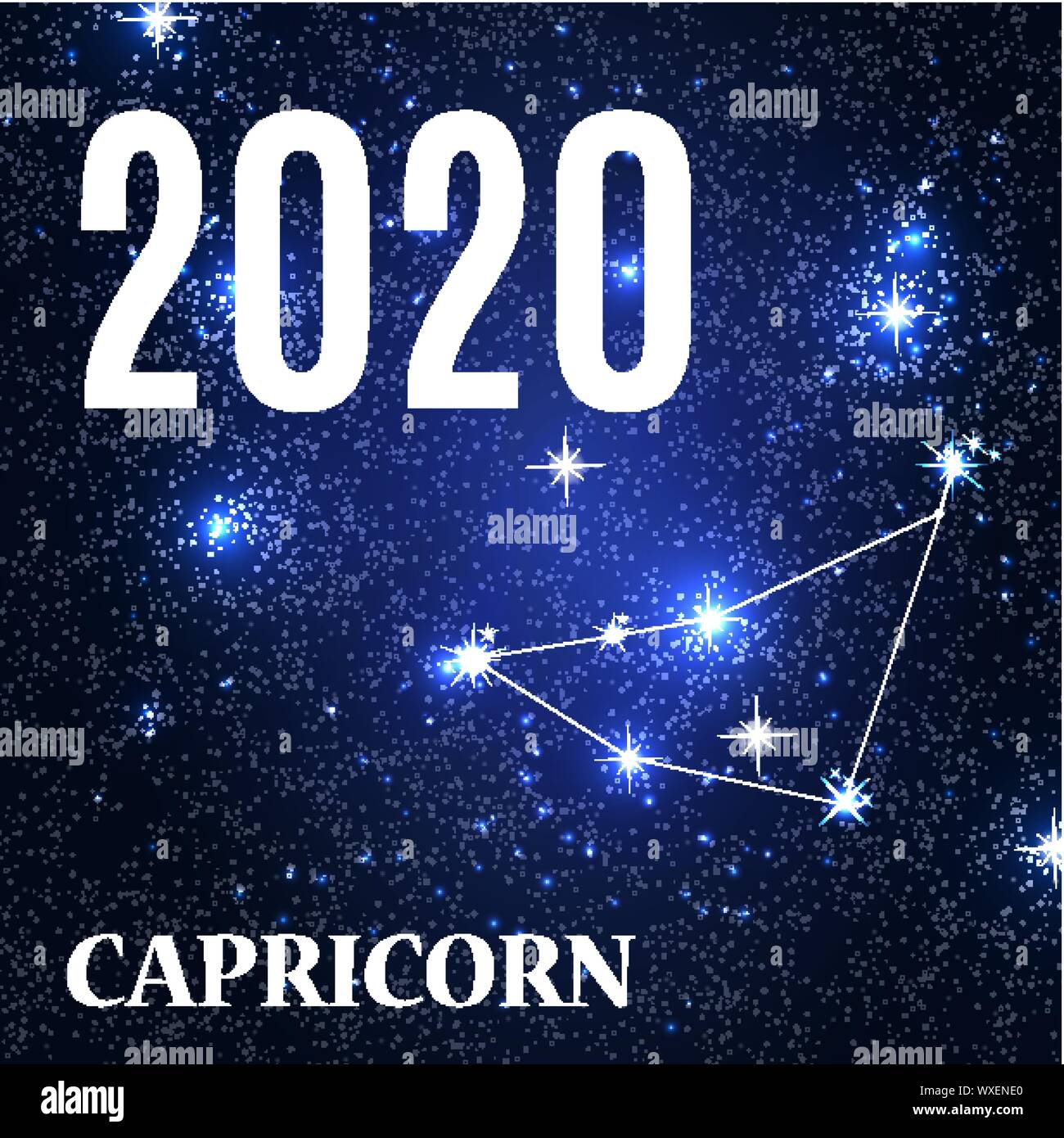 Symbol Capricorn Zodiac Sign with the New Year and Christmas 2020