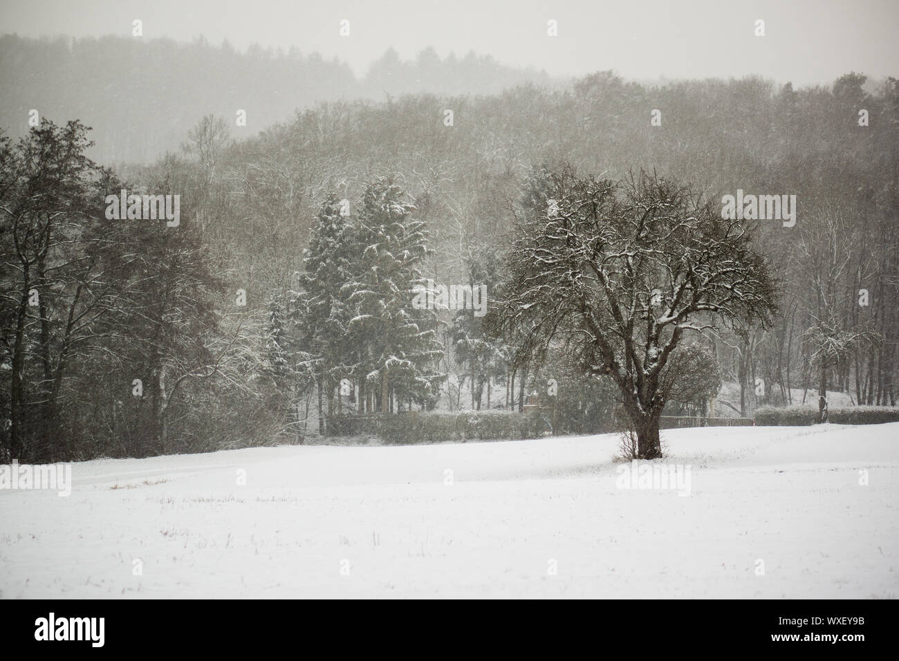 white snowy winter landscape in germany Stock Photo
