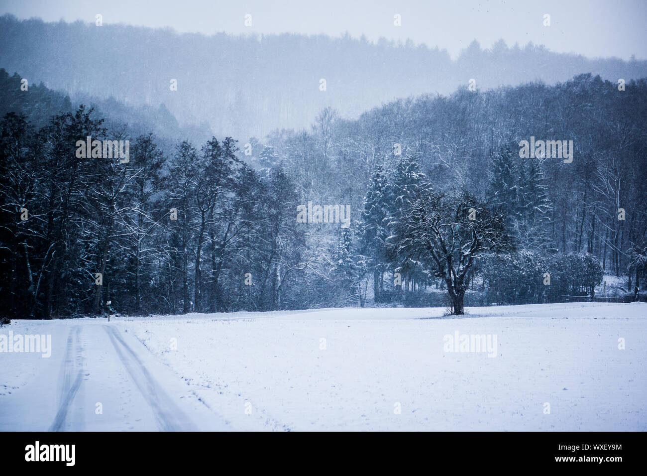 cold snowy winter landscape in germany Stock Photo