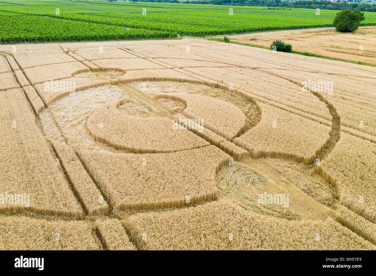 crop circles field Alsace France Stock Photo