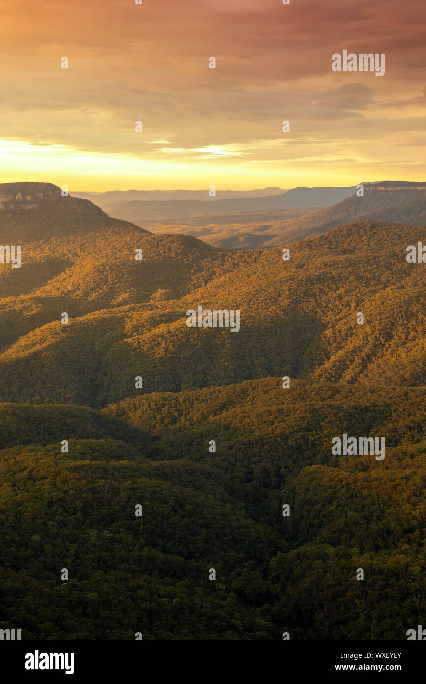Orange australia hi-res stock photography and images - Alamy