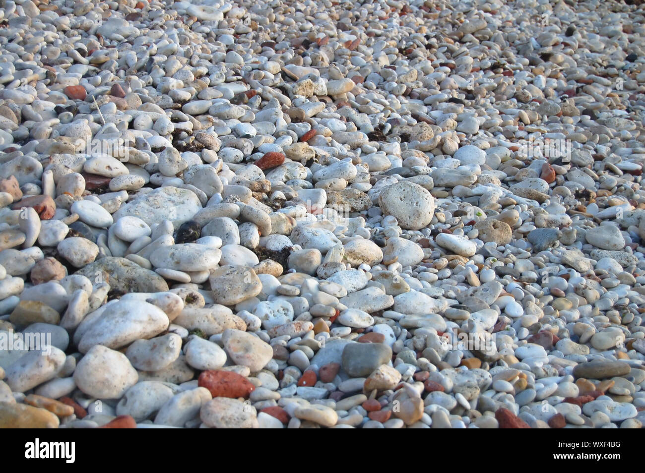 light coloured round flat stone on beach Stock Photo