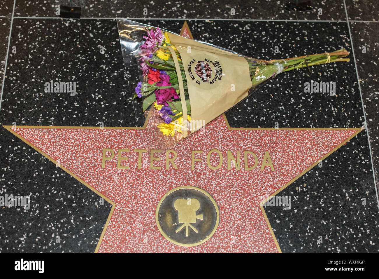 Peter henry fonda hi-res stock photography and images - Alamy