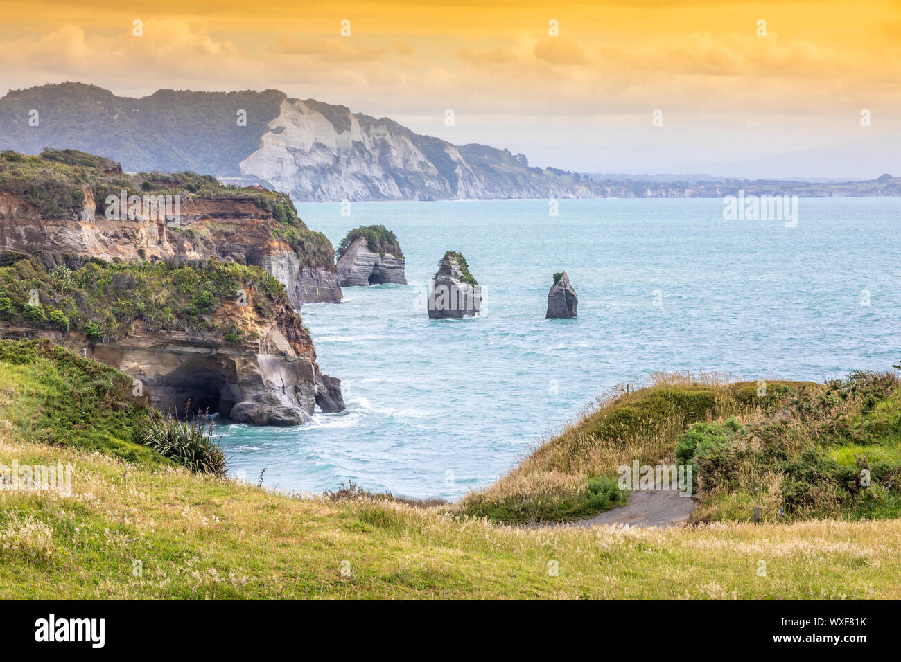 sea shore rocks and mount Taranaki, New Zealand Stock Photo