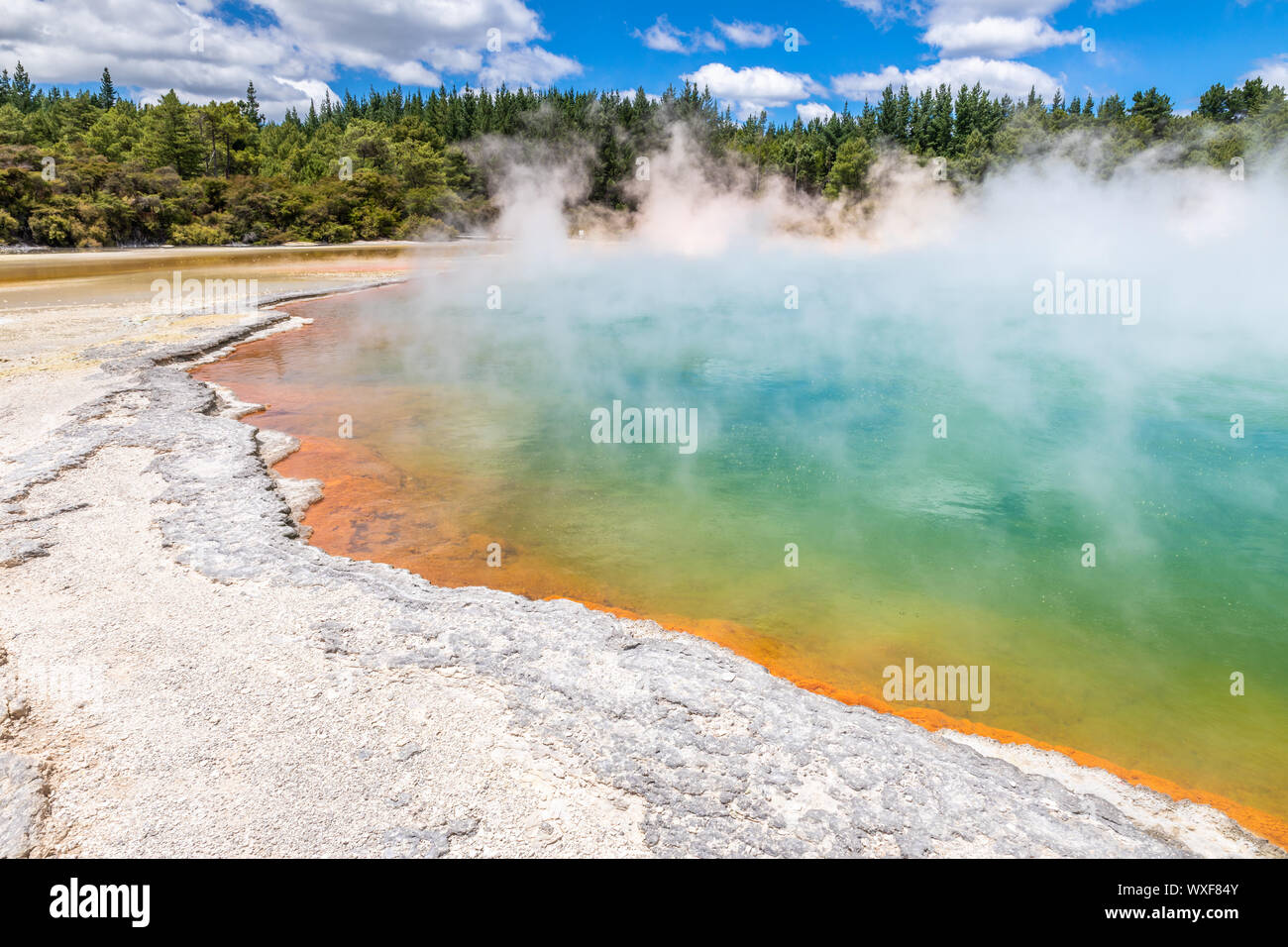 hot sparkling lake in New Zealand Stock Photo