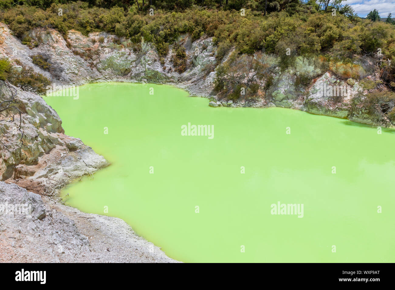 geothermal activity at Rotorua in New Zealand Stock Photo