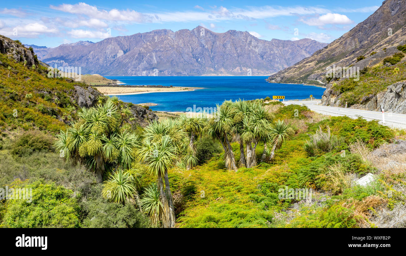 lake Wanaka; New Zealand south island Stock Photo - Alamy