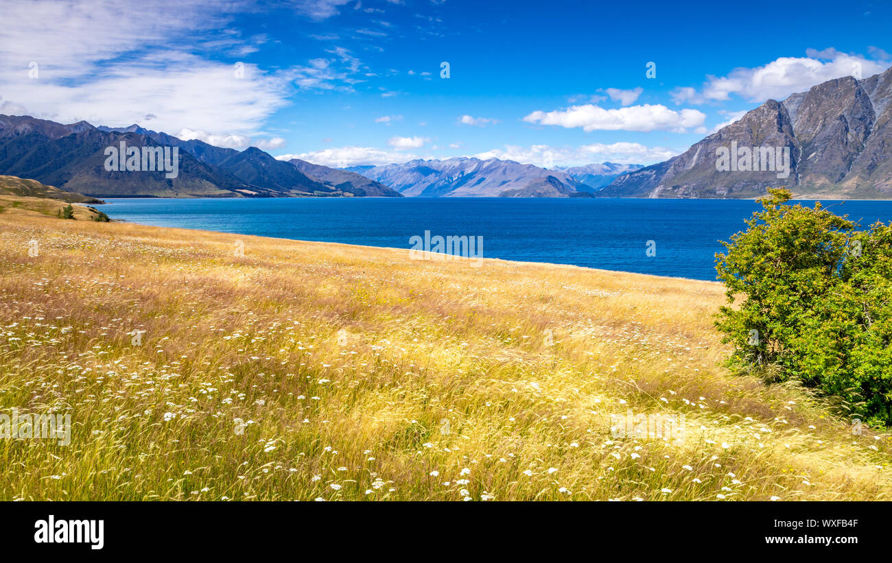 lake Wanaka; New Zealand south island Stock Photo Alamy