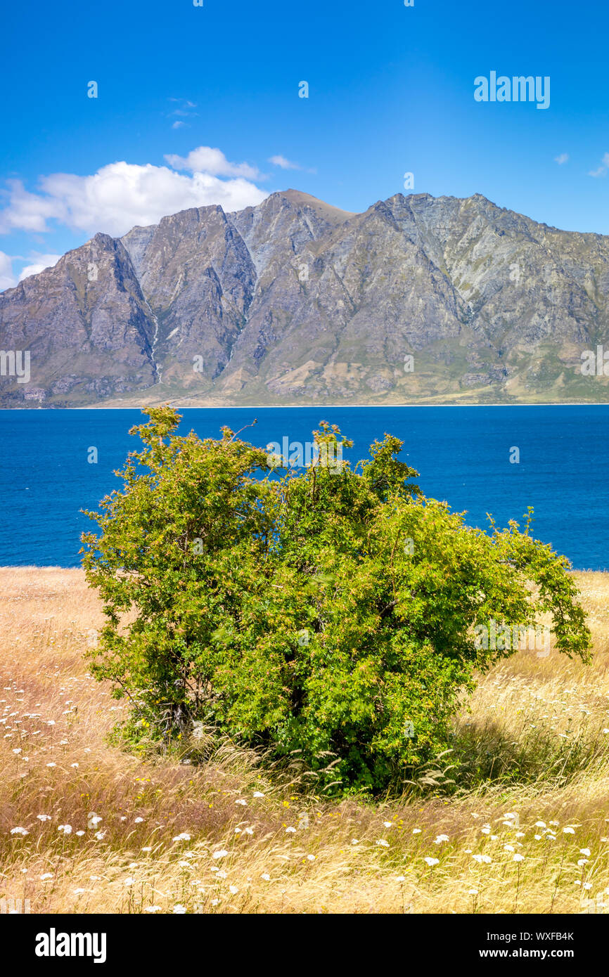 lake Wanaka; New Zealand south island Stock Photo Alamy