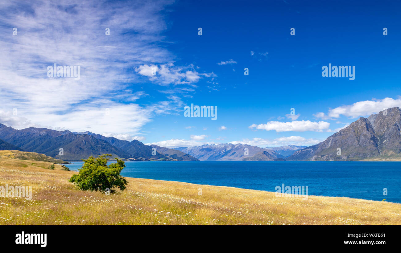 lake Wanaka; New Zealand south island Stock Photo - Alamy