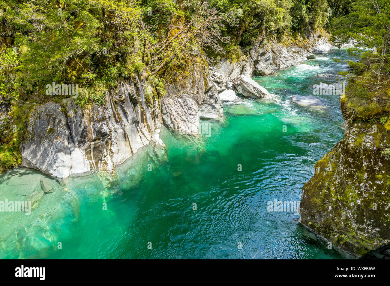 Haast River Landsborough Valley New Zealand Stock Photo