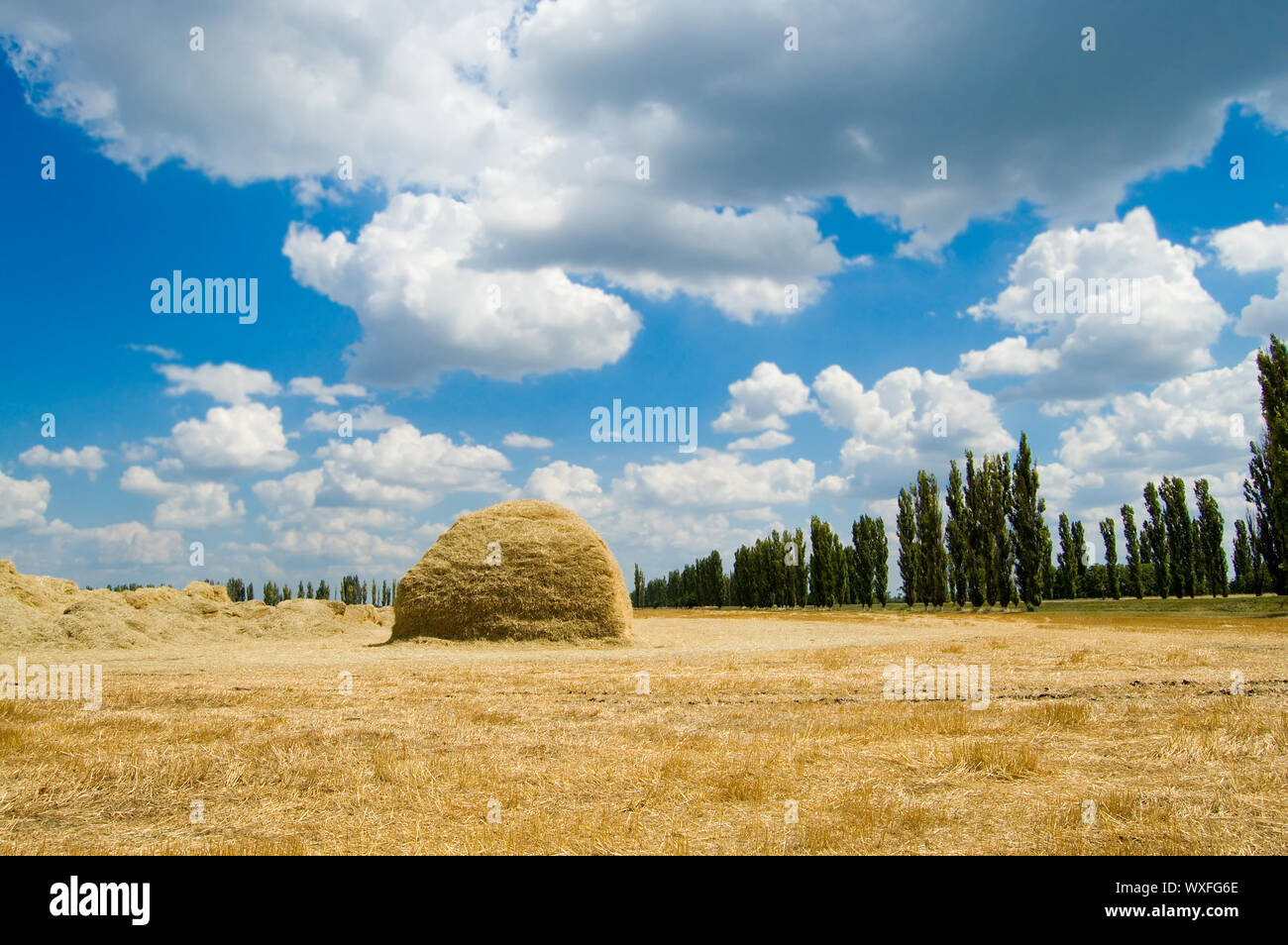 stack of straw on a background blue sky with clouds Stock Photo - Alamy