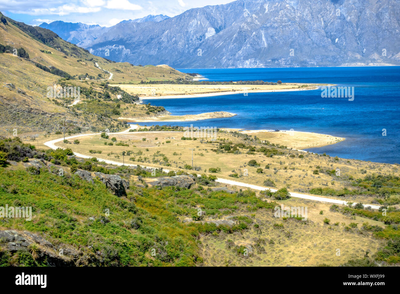 lake Wanaka; New Zealand south island Stock Photo - Alamy