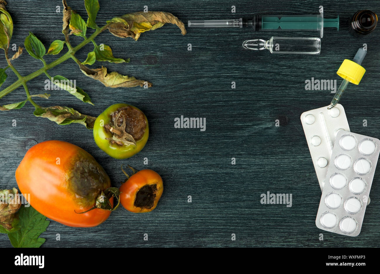 VEGETABLES ON BACKGROUND. SICK VEGETABLES ON A WOODEN SURFACE. COPY SPACE Stock Photo