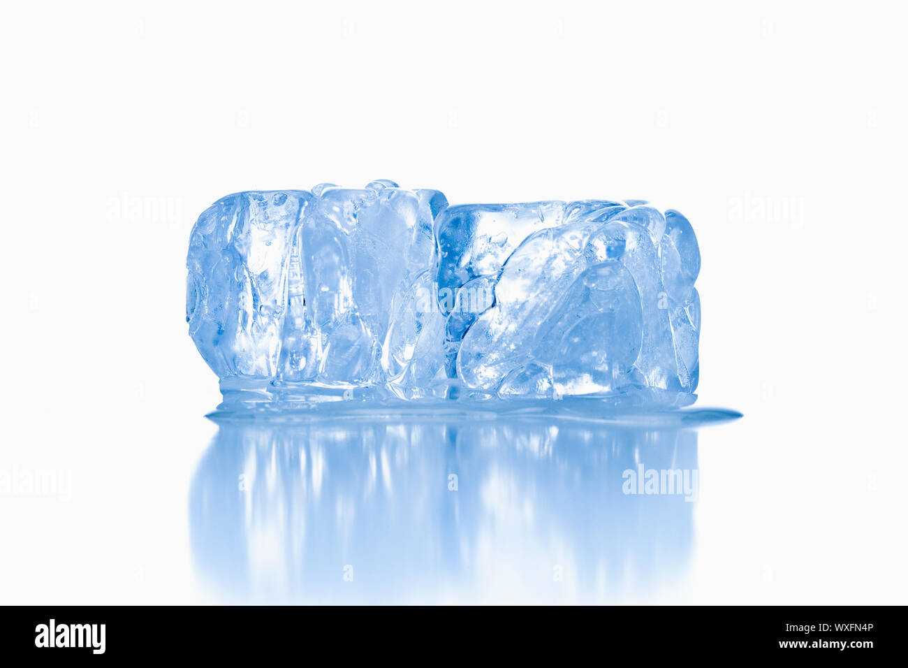 ice cubes shot on reflective white surface Stock Photo