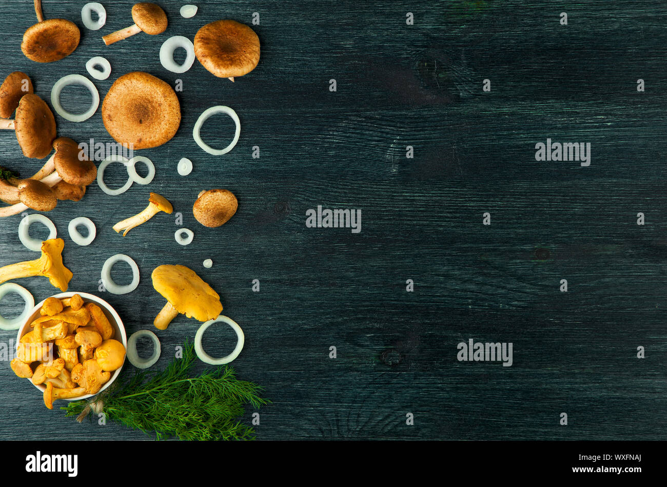 Fresh mushrooms with spices and herbs on black board. View from above. Copy space. Stock Photo