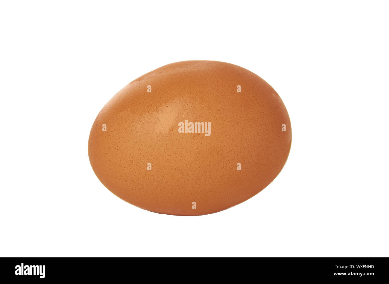 Brown egg isolate Stock Photo