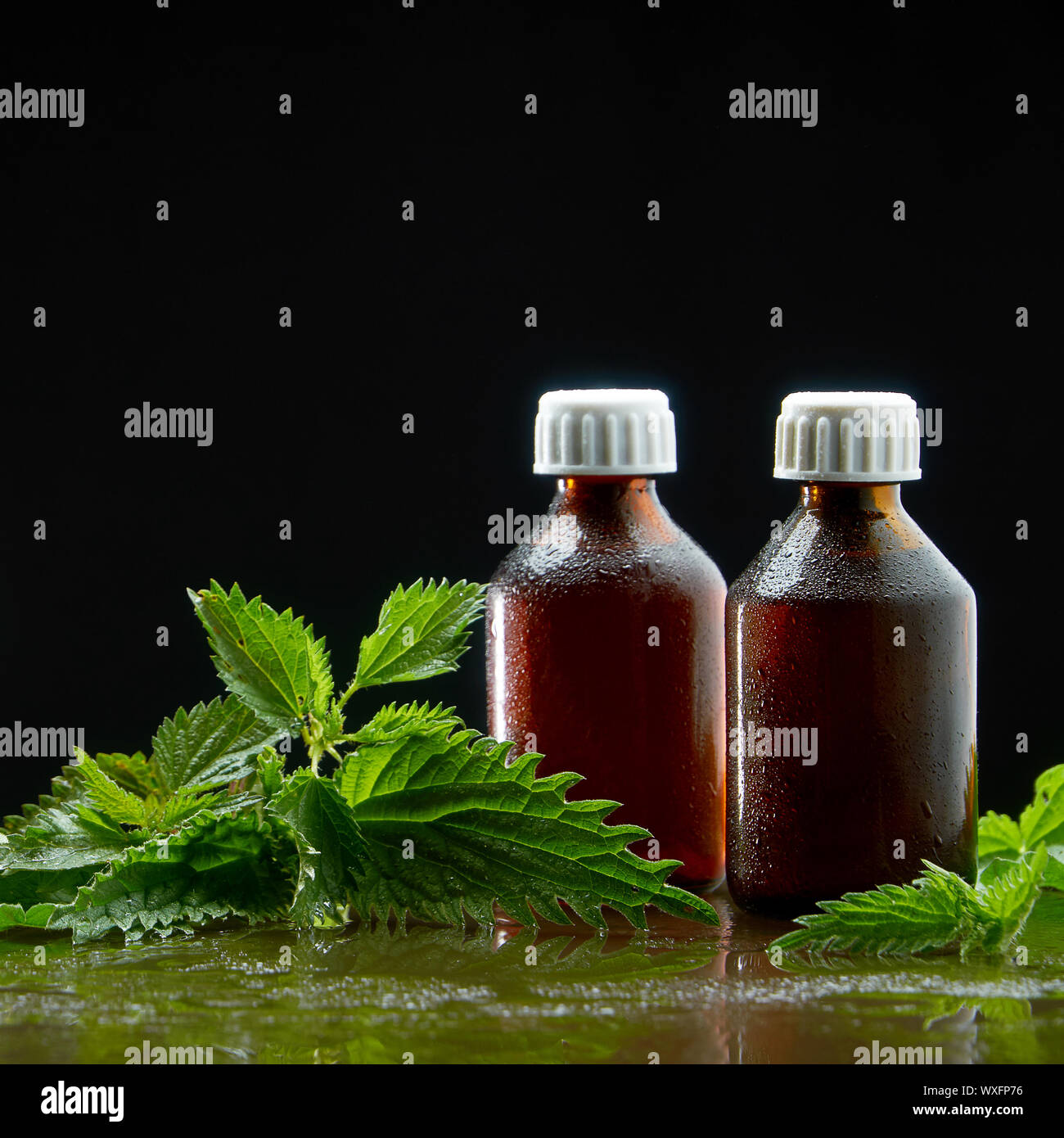 Two jars with a medical infusion of a decoction of nettle with nettle leaves on a black background Stock Photo