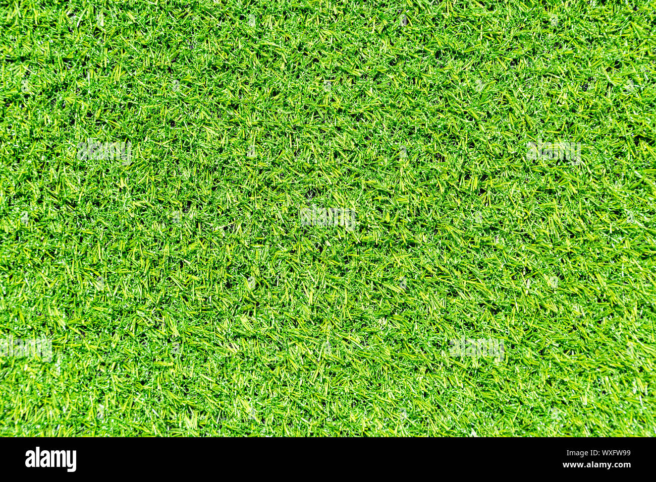 Decorative artificial green grass as background texture Stock Photo