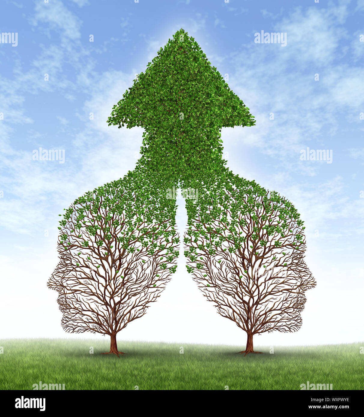 Two trees growing together hires stock photography and images Alamy