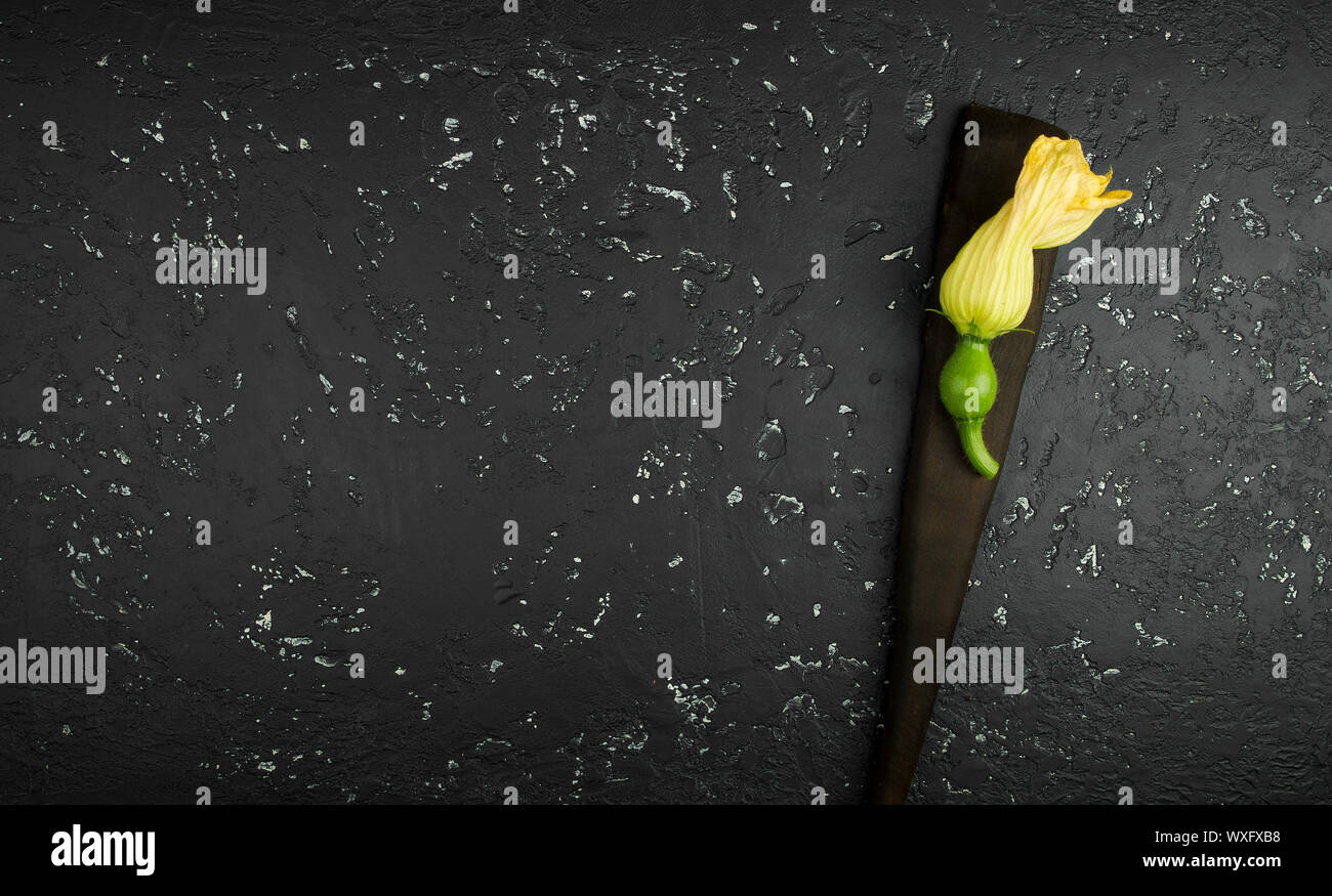 Young pumpkin flower on a wooden paddle on a dark table. View from above. Copy space Stock Photo