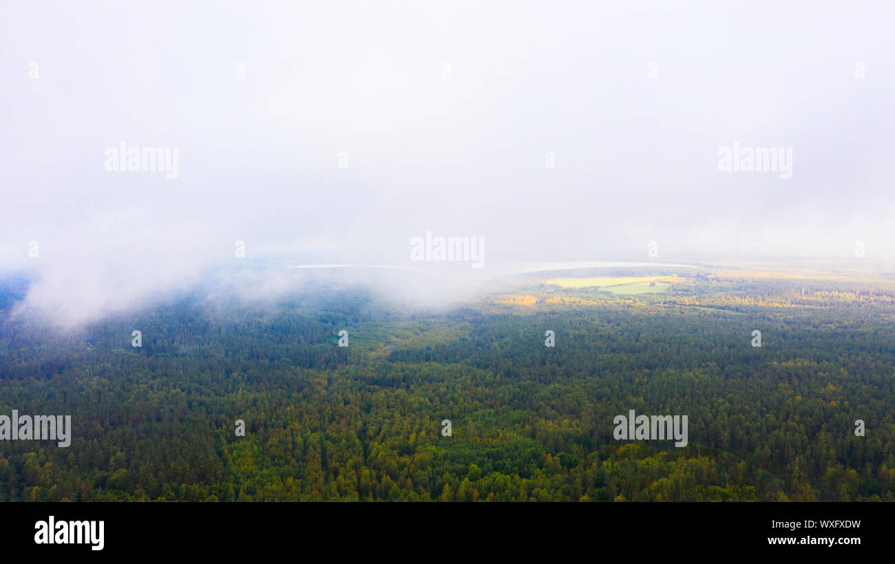 Aerial Drone view clouds over the green forest and lake. Low lying ...