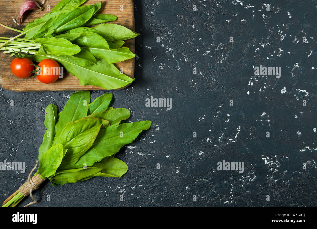 Green sorrel. Fresh sorrel leaves on a dark surface. View from above. Copy space Stock Photo