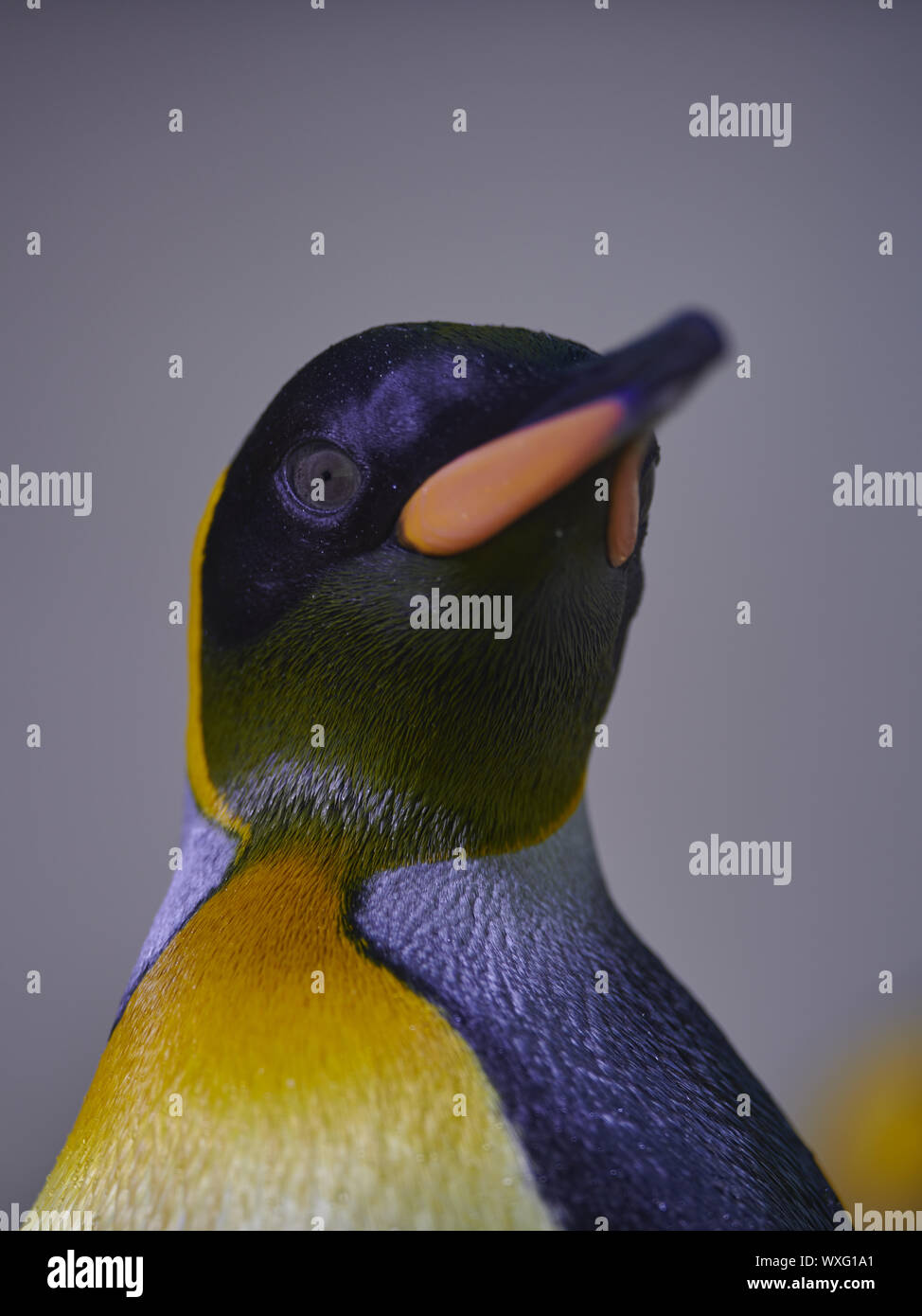 emperor penguin Stock Photo