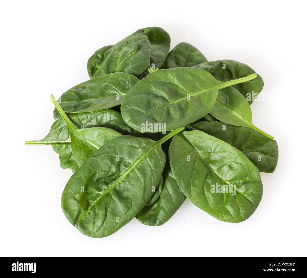 Fresh spinach leafs isolated on white background Stock Photo - Alamy