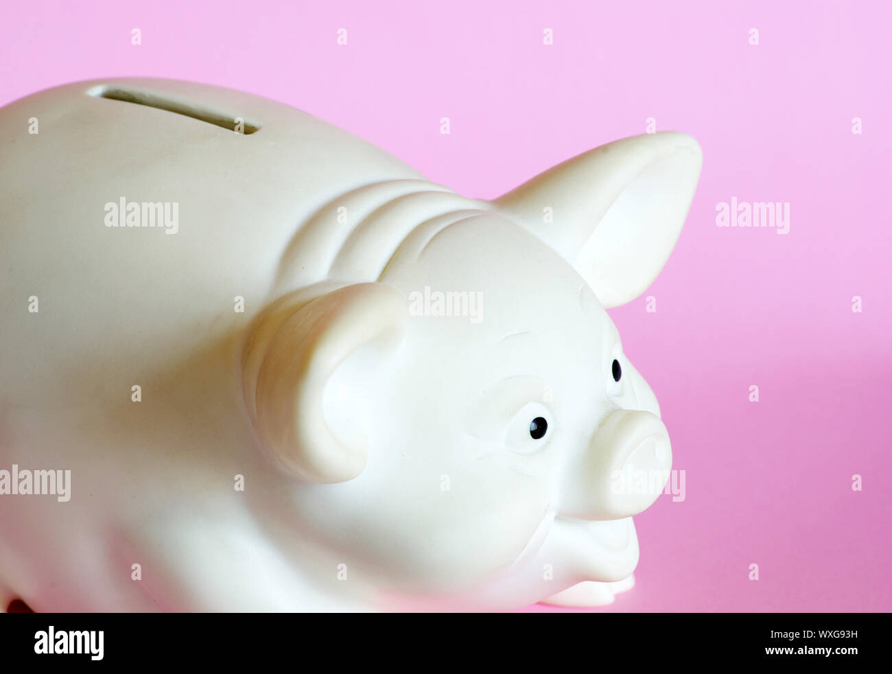 white piggy bank isolated on white background Stock Photo - Alamy