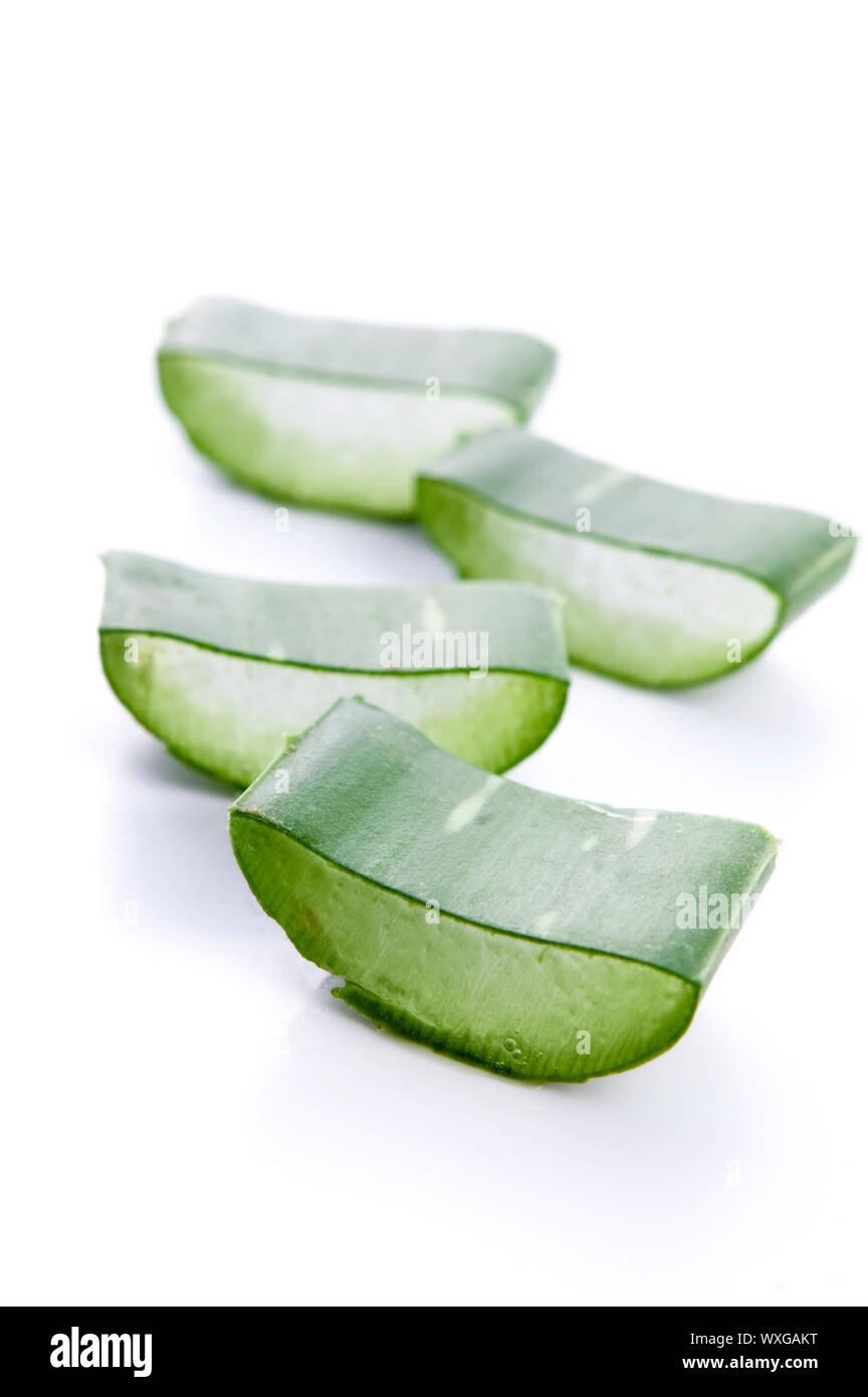Aloe vera herbal medicine Stock Photo Alamy