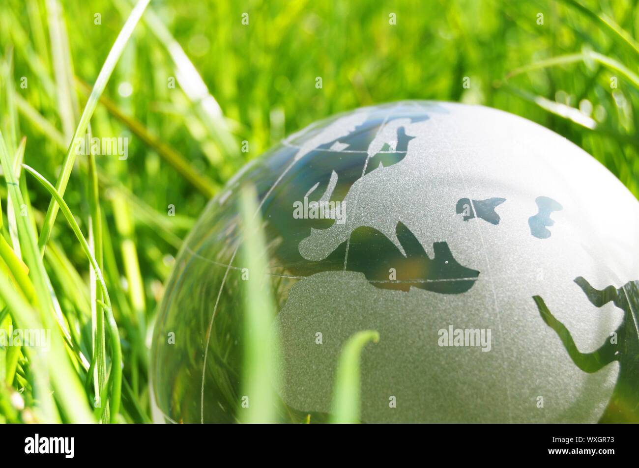 glass globe or earth in green grass showing eco concept with copyspace ...