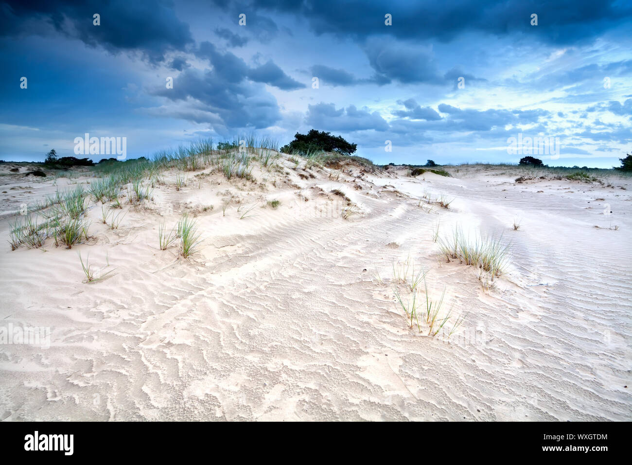wind and clouds over sand dune in gloomy weather, Drenthe, Friesland