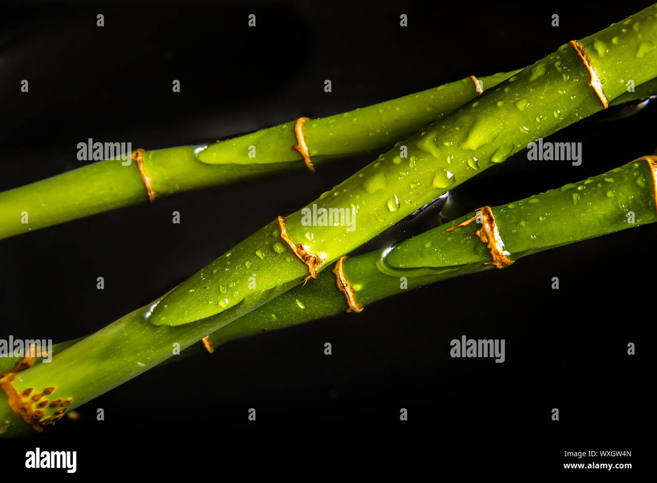 Bamboo water background Stock Photo - Alamy