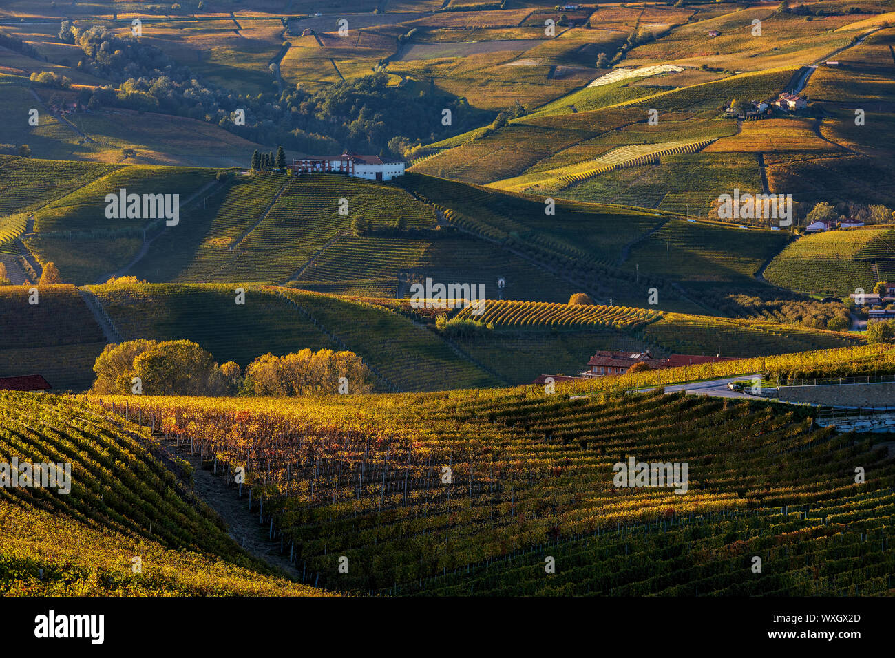 View of colorful autumnal vineyards and the hills of Langhe on sunset in Piedmont, Northern Italy. Stock Photo