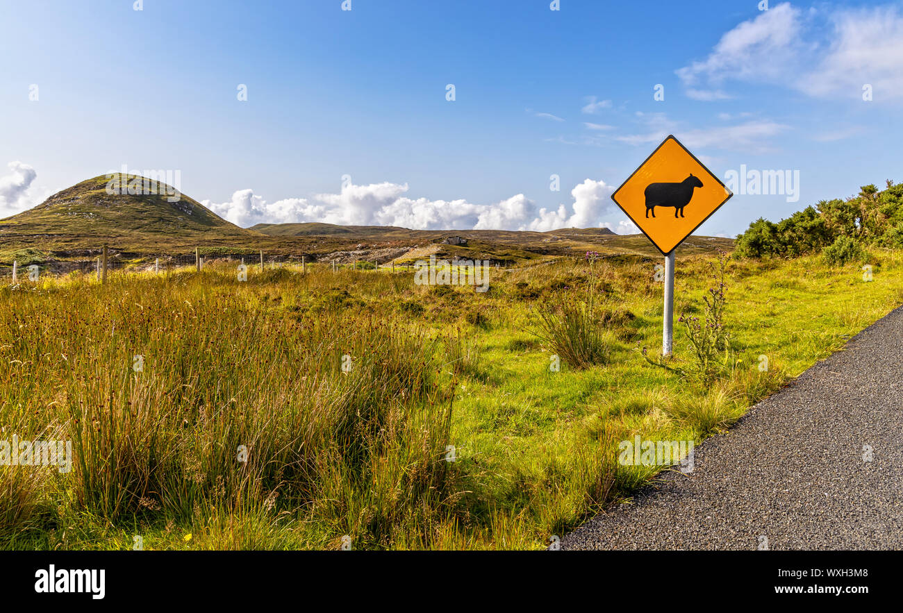A Sign makes attention for Sheeps Crossing the Street in Ireland Stock Photo