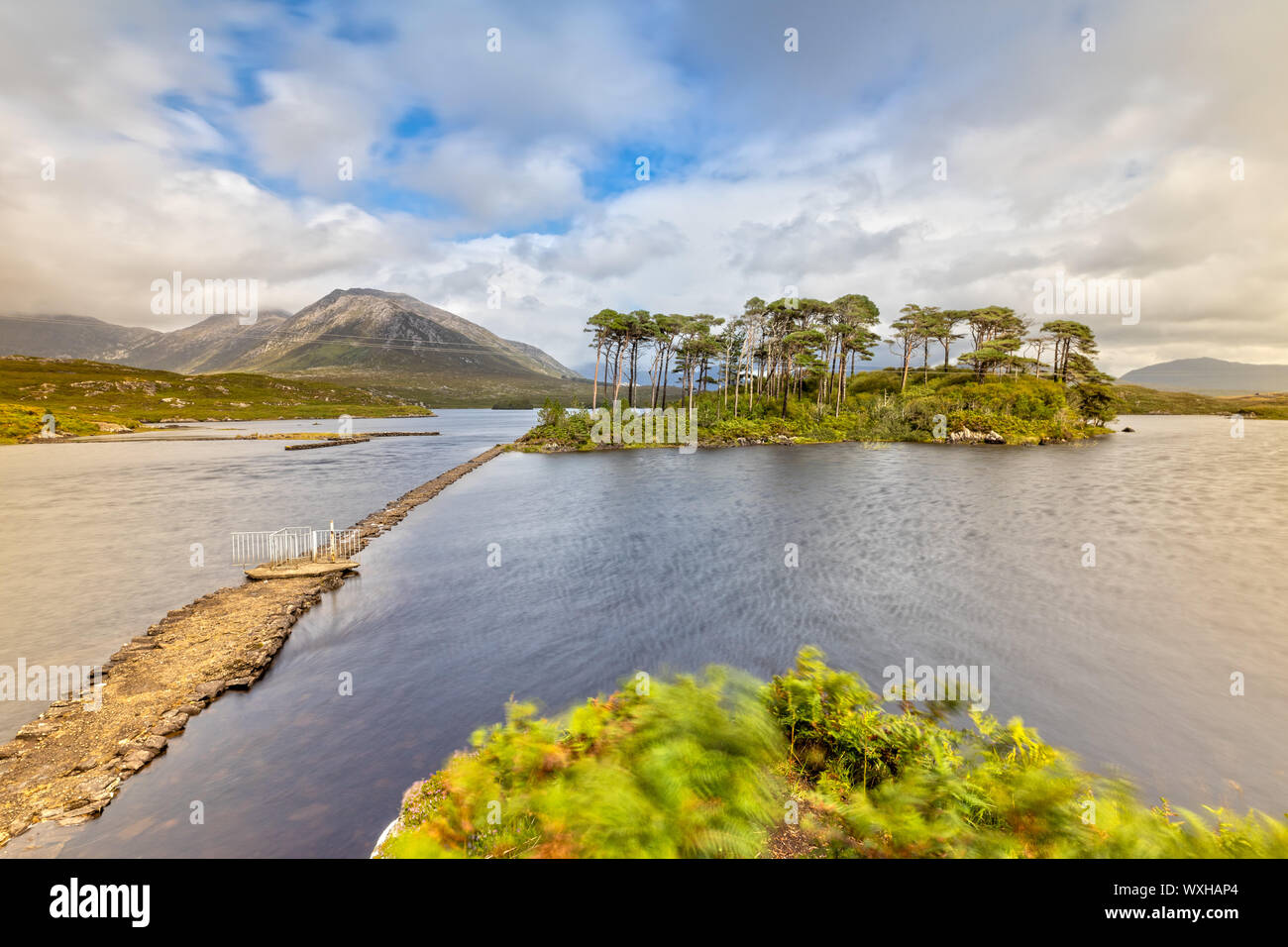 Pine Island in Derryclare Lough in the Connemara National Park,  Ireland Stock Photo