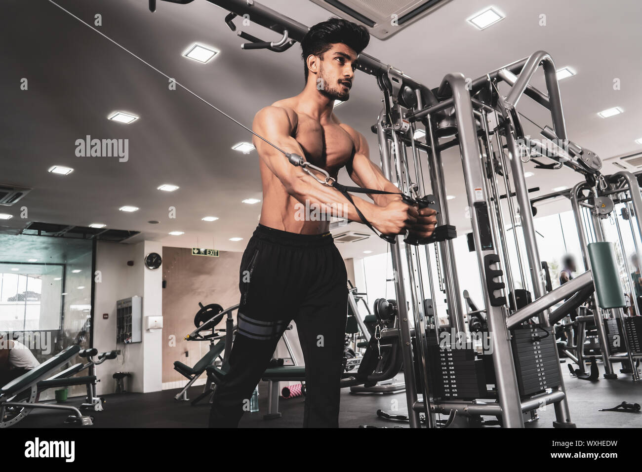 Bodybuilder Is Working On His Chest With Cable Crossover In Gym. Scream