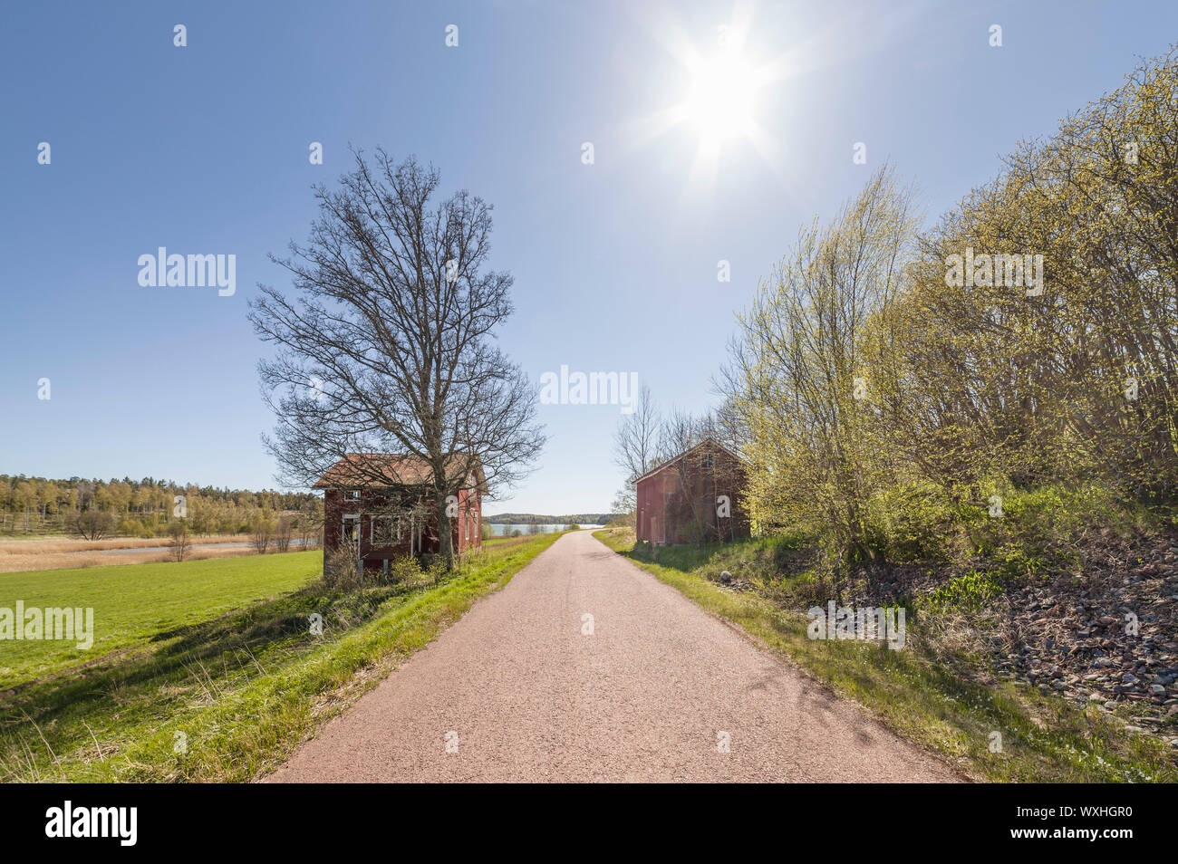 An old abandoned house and road in a rural countryside landscape. Aland Islands, Finland. Stock Photo