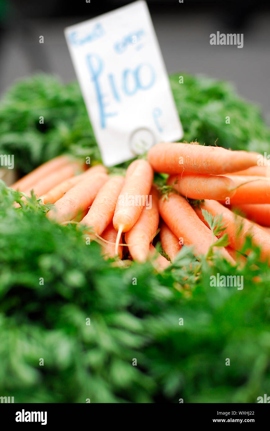 Closeup shot of fresh carrots in focus with pricetag on grass Stock