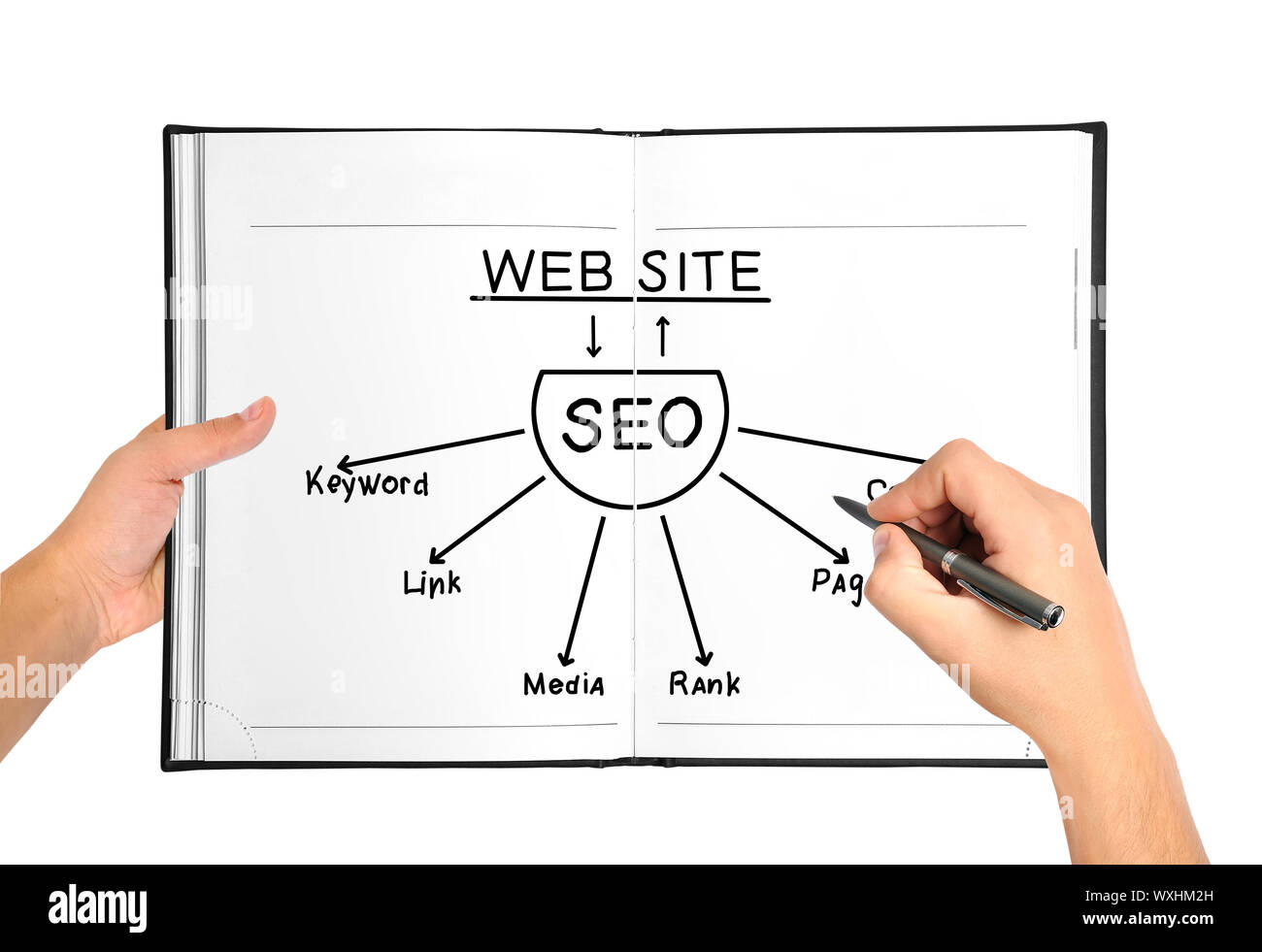 Hands drawing seo scheme in book Stock Photo