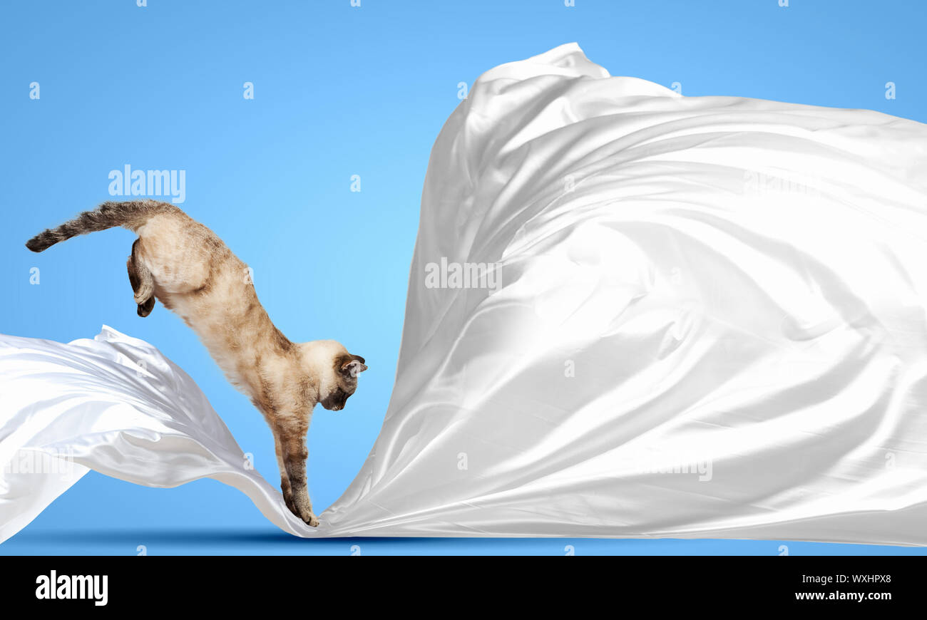 8486 hi-res stock photography and images - Alamy