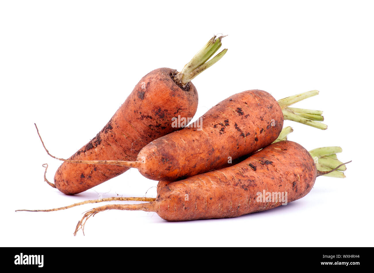 Pile of Big Ripe Carrots with Nature Dirties isolated on white ...