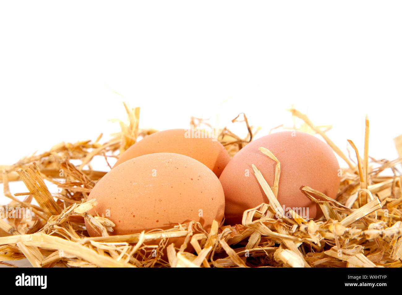 chicken eggs in straw nest Stock Photo - Alamy