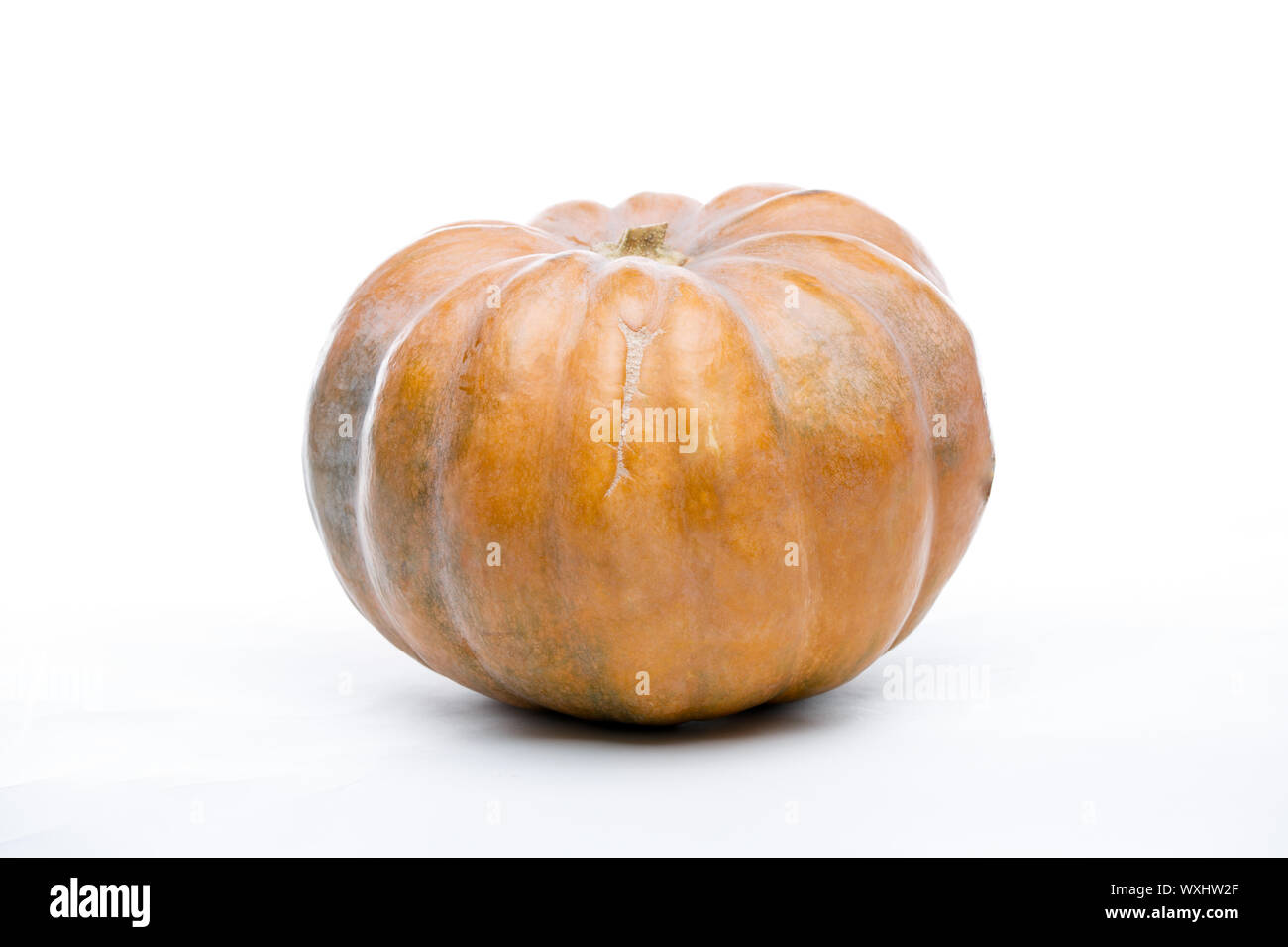 Photo of orange pumpkin on white isolated background Stock Photo - Alamy