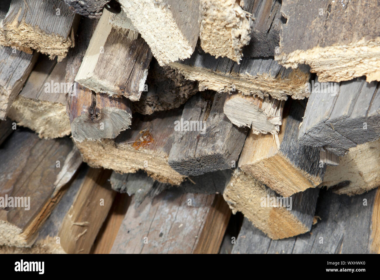 Stack of beech chopped firewoods prepared for firing Stock Photo