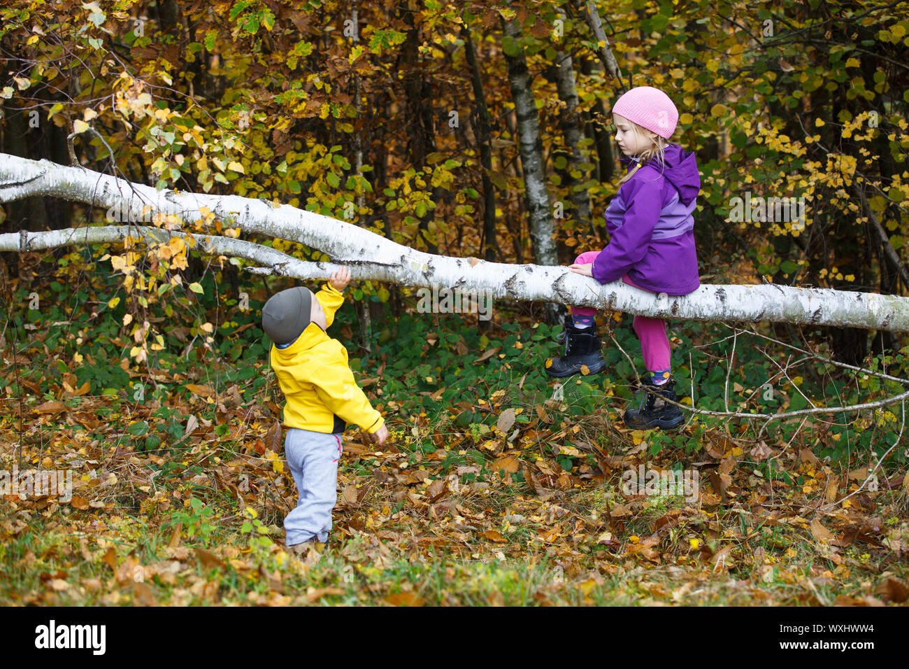 Brother and sister playing in autumn woods Stock Photo - Alamy